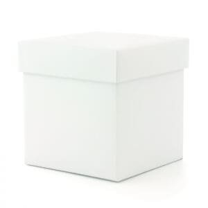 Técnicas de caja blanca
