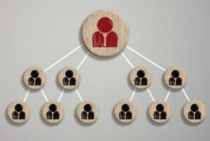 roles en las revisiones