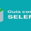 Portada guia fundamental de selenium