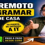 Testing remoto sin programar